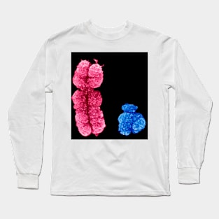 X and Y chromosomes (C003/0729) Long Sleeve T-Shirt